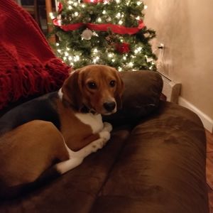 Meet your Posher, Suzanne